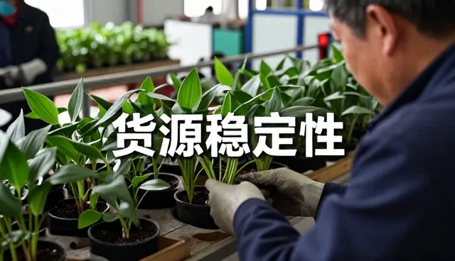 昆明清波有害生物防治技术咨询服务有限公司打造适用于门店展厅的种苗供应